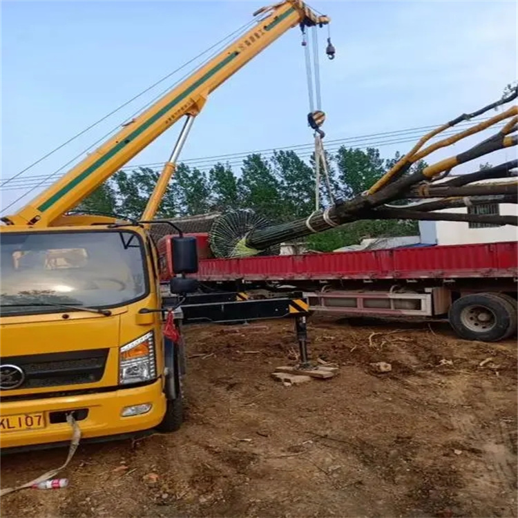 豆河镇100吨吊车租赁费用怎么算？3大关键因素+省钱技巧全解析